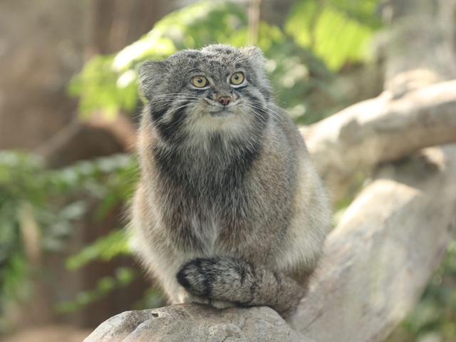 ツアー画像