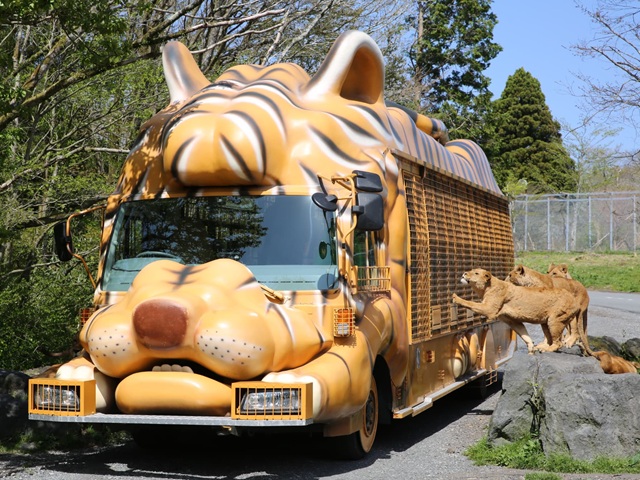 ツアー画像