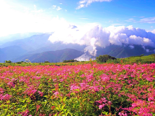 伊吹山