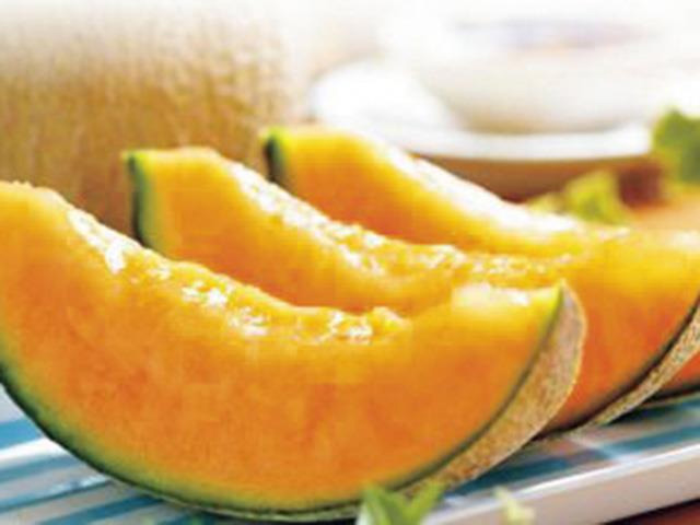 メロン狩り食べ放題