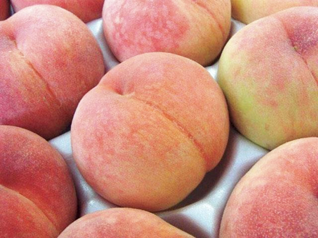 桃食べ放題
