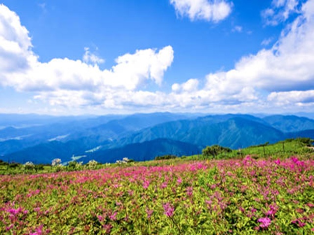 伊吹山