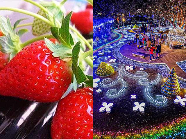 あしかがフラワーパーク＆いちご狩り