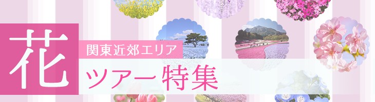 季節の花 花鑑賞ツアー 日帰りバスツアー
