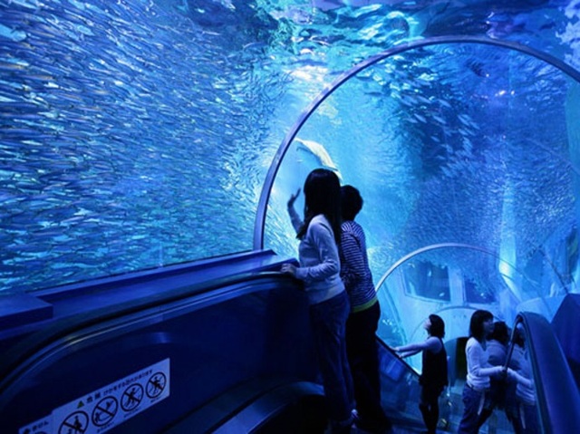 横浜八景島シーパラダイスに行く格安日帰りバスツアー バス市場