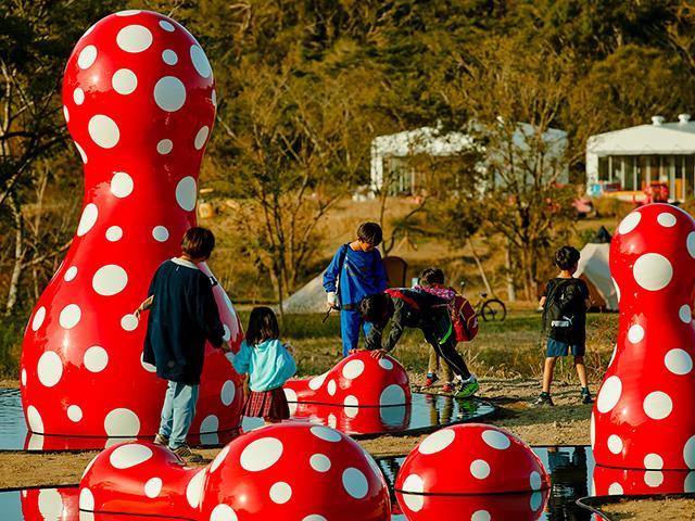 Go To トラベル対象 読売旅行 大宮発 ズワイガニ 熱々ステーキ食べ放題 松茸桐箱つめ放題へ行く日帰りバスツアー バス市場 Go To トラベル対象 読売旅行 大宮発 ズワイガニ 熱々ステーキ食べ放題 松茸桐箱つめ放題へ行く日帰りバスツアー バス市場