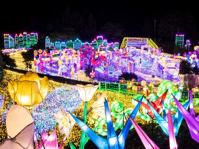 新宿発 体験型イルミネーション グランイルミ シャボテン動物公園 海鮮バーベキュー食べ放題 日帰りバスツアー 新宿発 体験型イルミネーション グランイルミ シャボテン動物公園 海鮮バーベキュー食べ放題 日帰りバスツアー