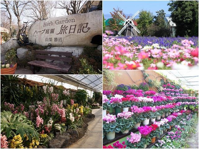 新宿発 山梨 絶景の露天風呂 みはらしの丘 みたまの湯 とぶどう狩り園内食べ放題 qランチ日帰りバスツアー バス市場