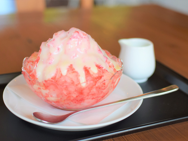 新宿発 大谷資料館ともも狩り いちご氷 宇都宮餃子ランチ 佐野プレミアム アウトレットへ行く日帰りバスツアー バス市場