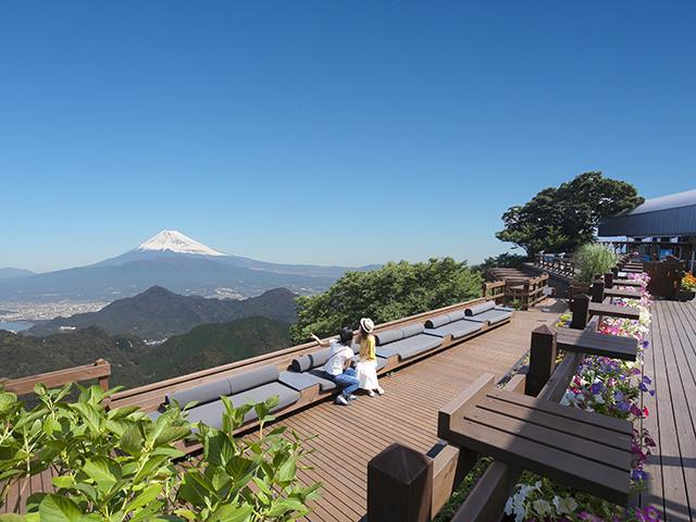 新宿発 静岡 冬季限定 人気のいちご みかんw狩りで美タミンチャージ 富士を望む絶景のロープーウェイで空中散歩 バス市場