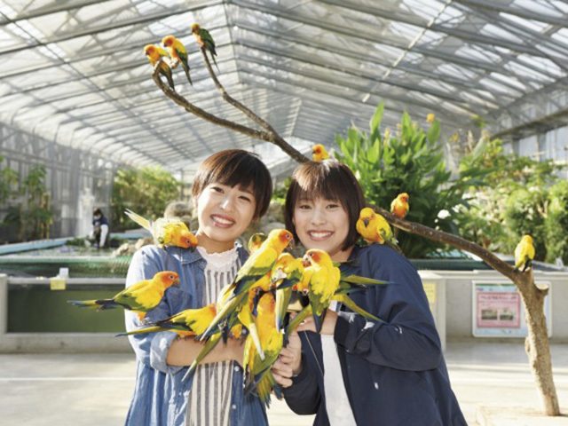 浜松二大名物 フラワーめぐりへ行く日帰りバスツアー 名鉄観光バス ドラコンズパック バス市場