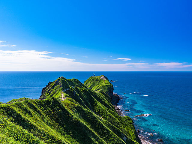 札幌 日帰り バス ツアー