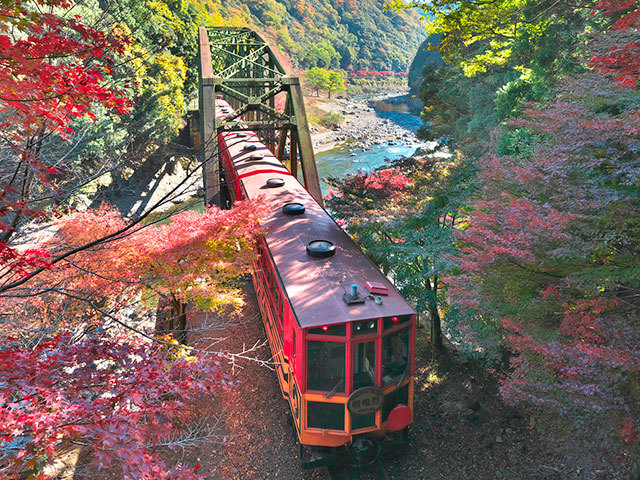 秋の京都で紅葉観賞 嵯峨野トロッコ列車と鈴虫寺へ行く日帰りバスツアー 名鉄観光バス ドラゴンズパック バス市場