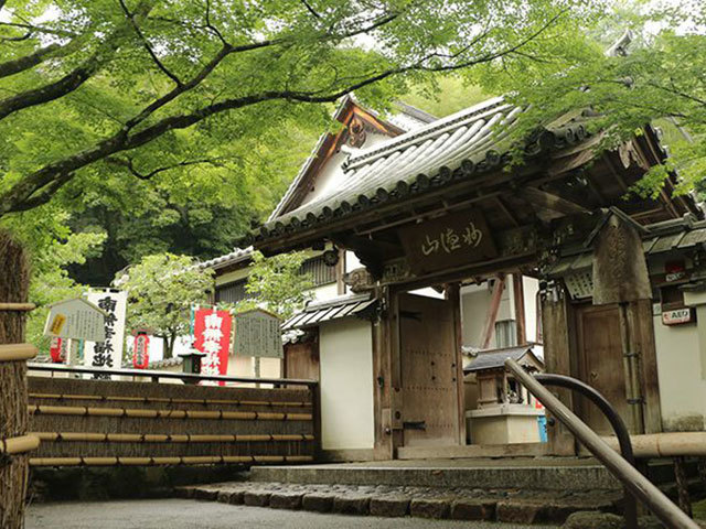 名古屋発 Nara Kingyo Museum 妙徳山華厳寺 鈴虫寺へ行く日帰りバスツアー 名鉄観光バス ドラコンズパック バス市場