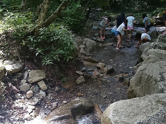 新宿発 ほうとう作り 川魚のつかみ取り フルーツ狩り うちわ作り プチ洞窟探検体験に行く日帰りバスツアー バス市場
