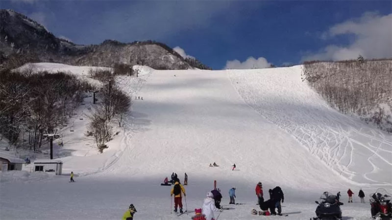 氷ノ山国際スキー場