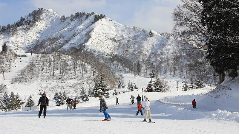 湯沢中里スキー場