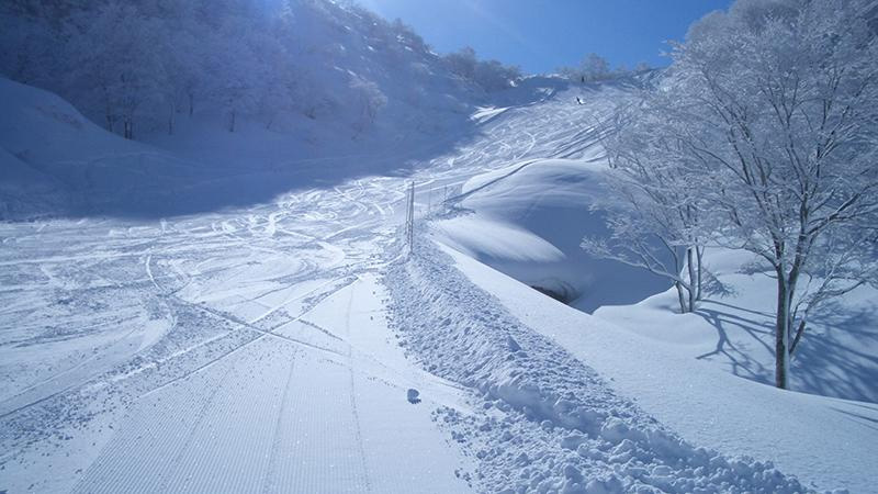 新潟県の人気スキー場ランキング！格安リフト券も紹介します！｜バス市場情報局