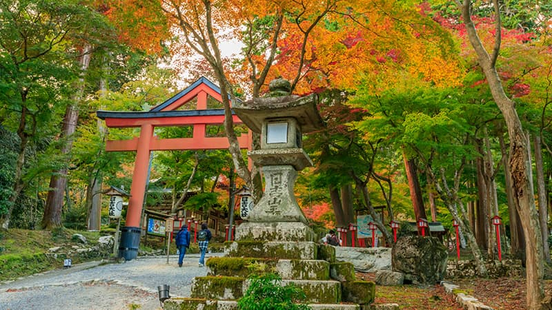 日吉大社　紅葉