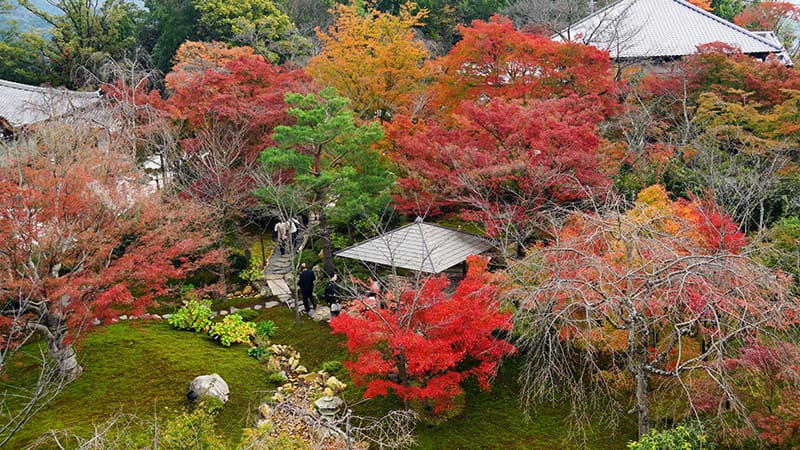 青龍殿庭園　紅葉