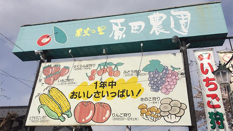 果物狩りも食べ放題も人気 群馬で人気の施設 原田農園のご紹介 バス市場情報局