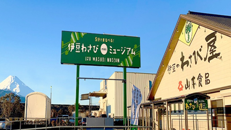 伊豆わさびミュージアム