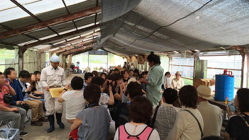 楽しめること間違いなし はちみつ工房見学 はちみつの魅力を見て食べて堪能 バス市場情報局