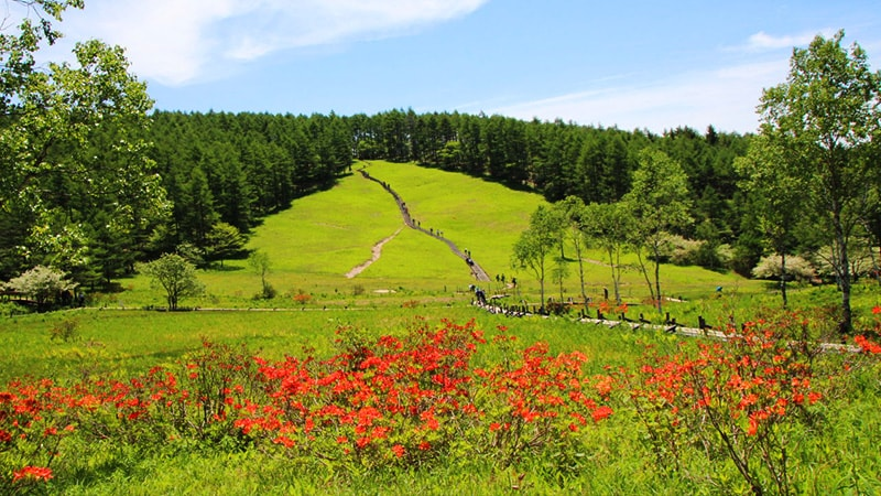 入笠山