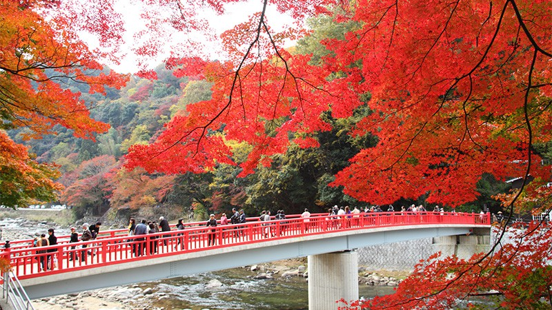 香嵐渓　紅葉