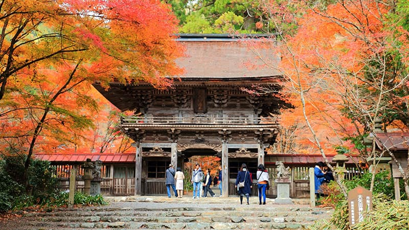 大矢田神社　紅葉