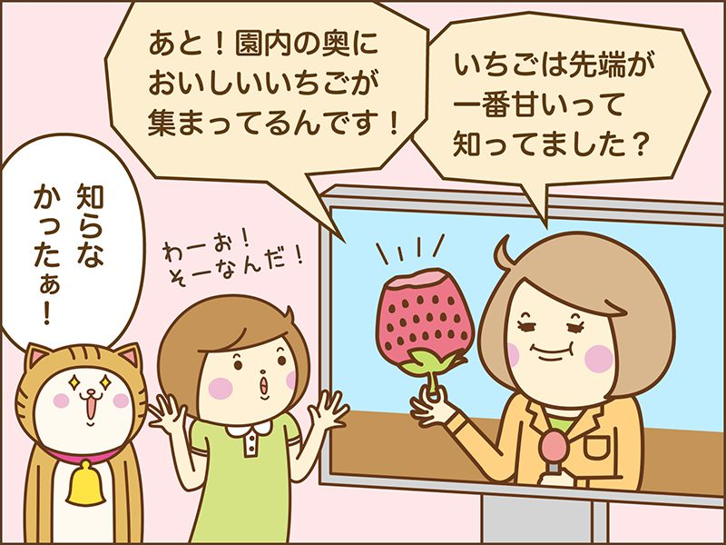 いちごは先端が一番甘いって知ってました？あと園内の奥においしいいちごが集まっているんです！知らなかったぁ。