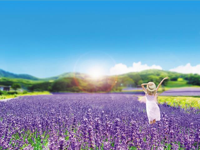 ラベンダー