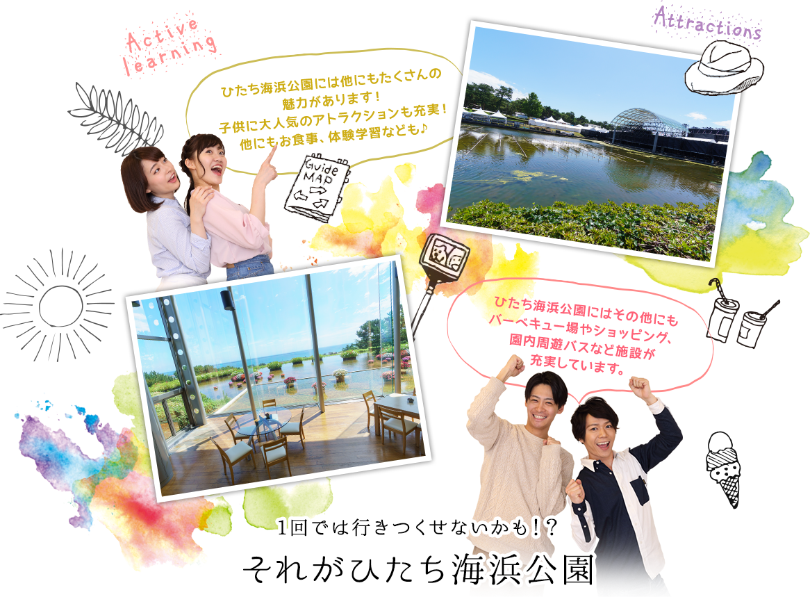 1回では行きつくせないかも!?それがひたち海浜公園