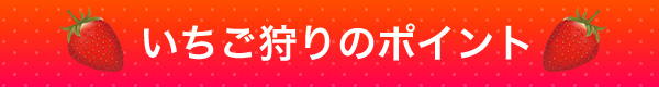 いちご狩りのポイント