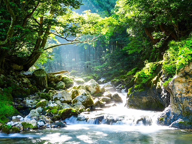 河内の風穴