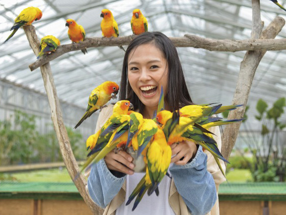 掛川花鳥園