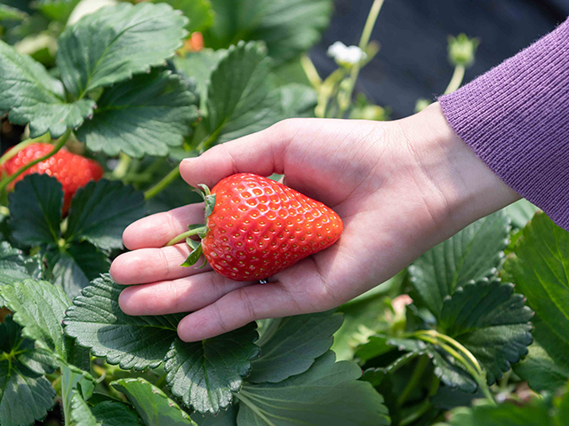 ツアーイメージ