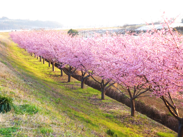 ツアーイメージ