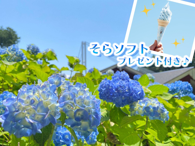 ツアーイメージ