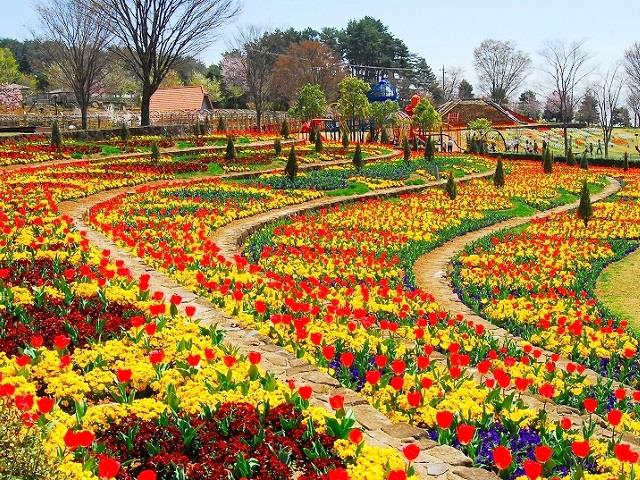 ツアーイメージ