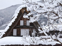 ツアーイメージ