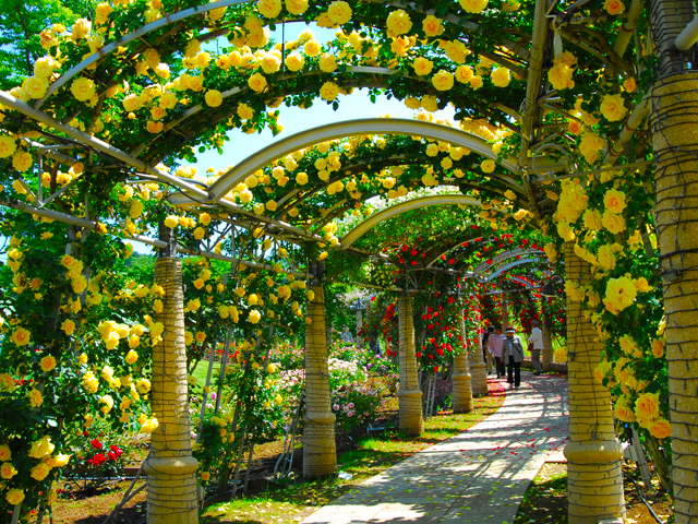 ツアーイメージ